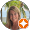 Review google Donna Saarem